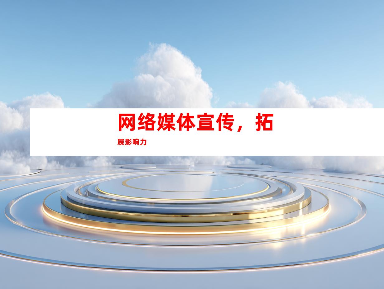 网络媒体宣传，拓展影响力