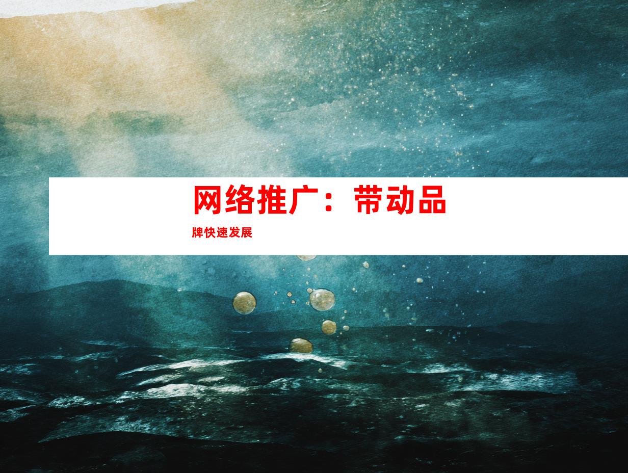 网络推广：带动品牌快速发展