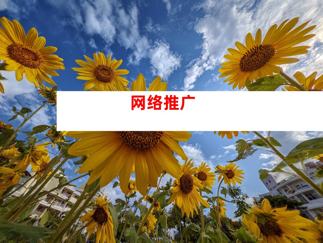 网络推广