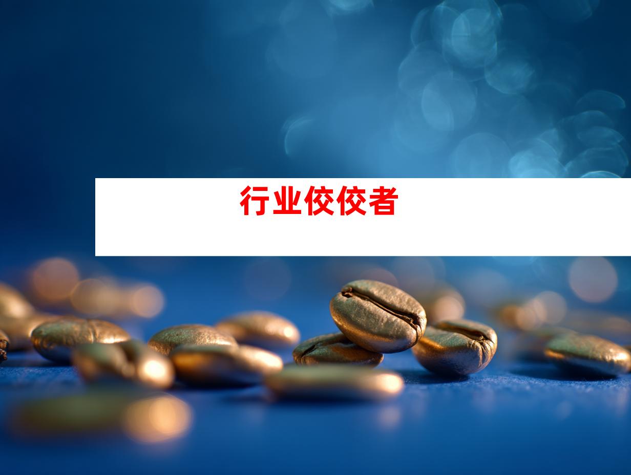 行业佼佼者