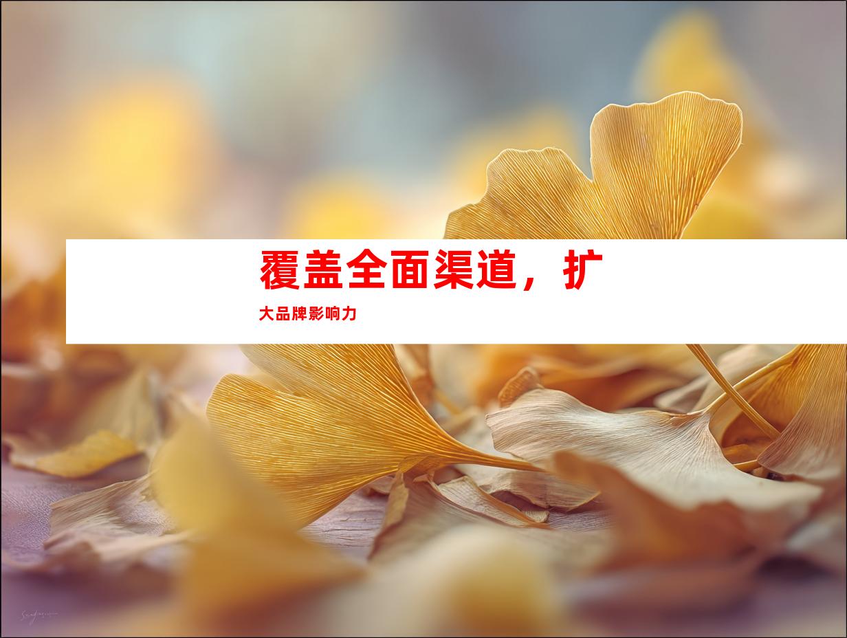 覆盖全面渠道，扩大品牌影响力