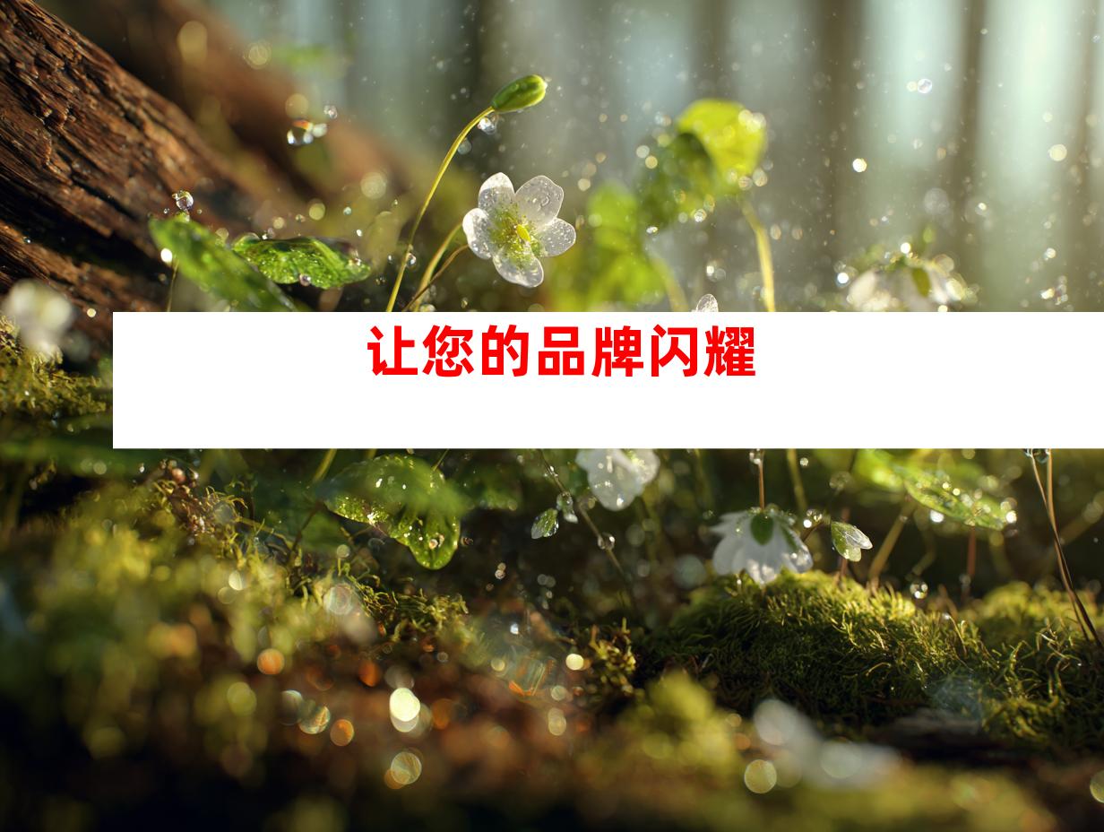 让您的品牌闪耀