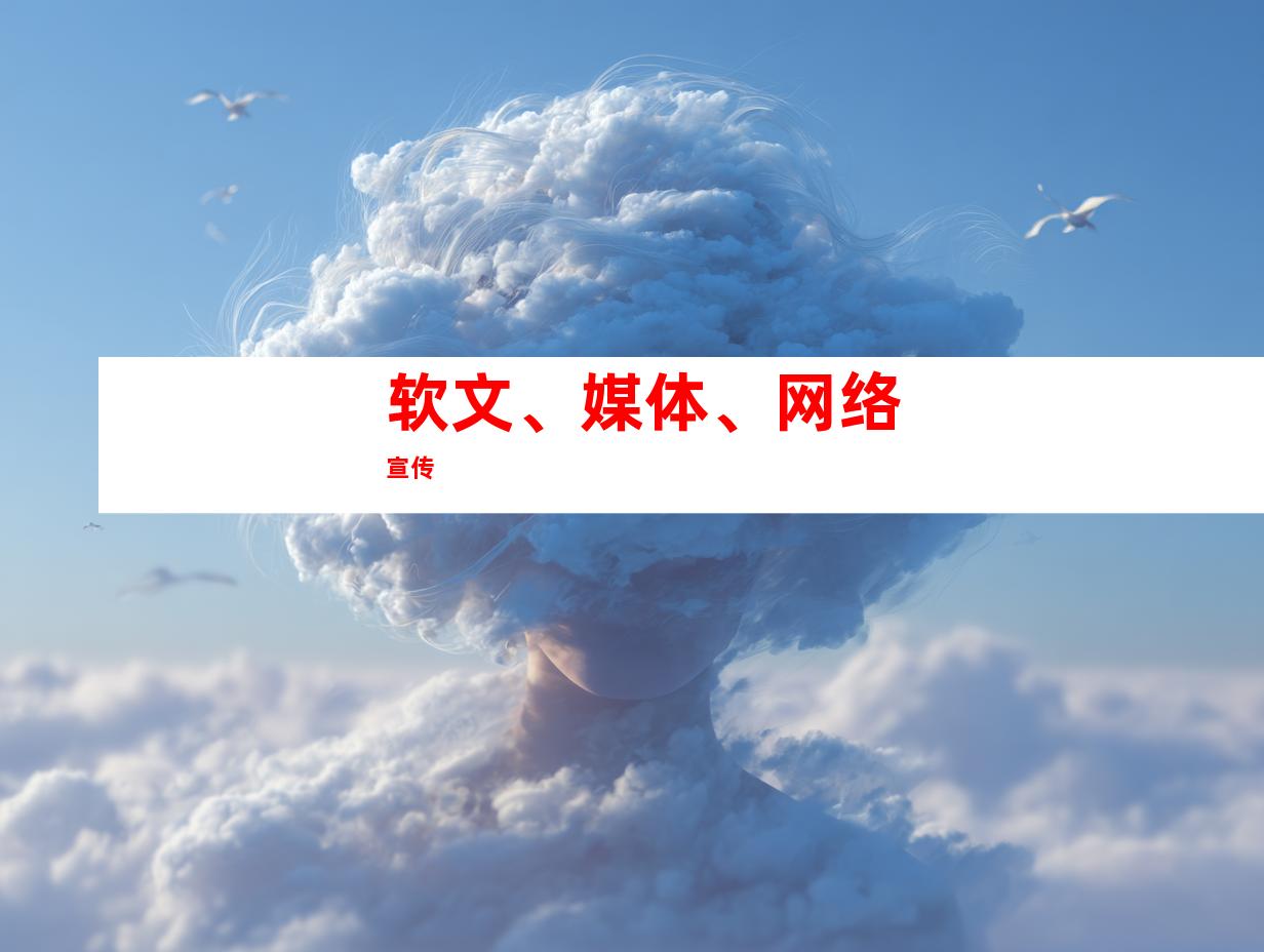 软文、媒体、网络宣传