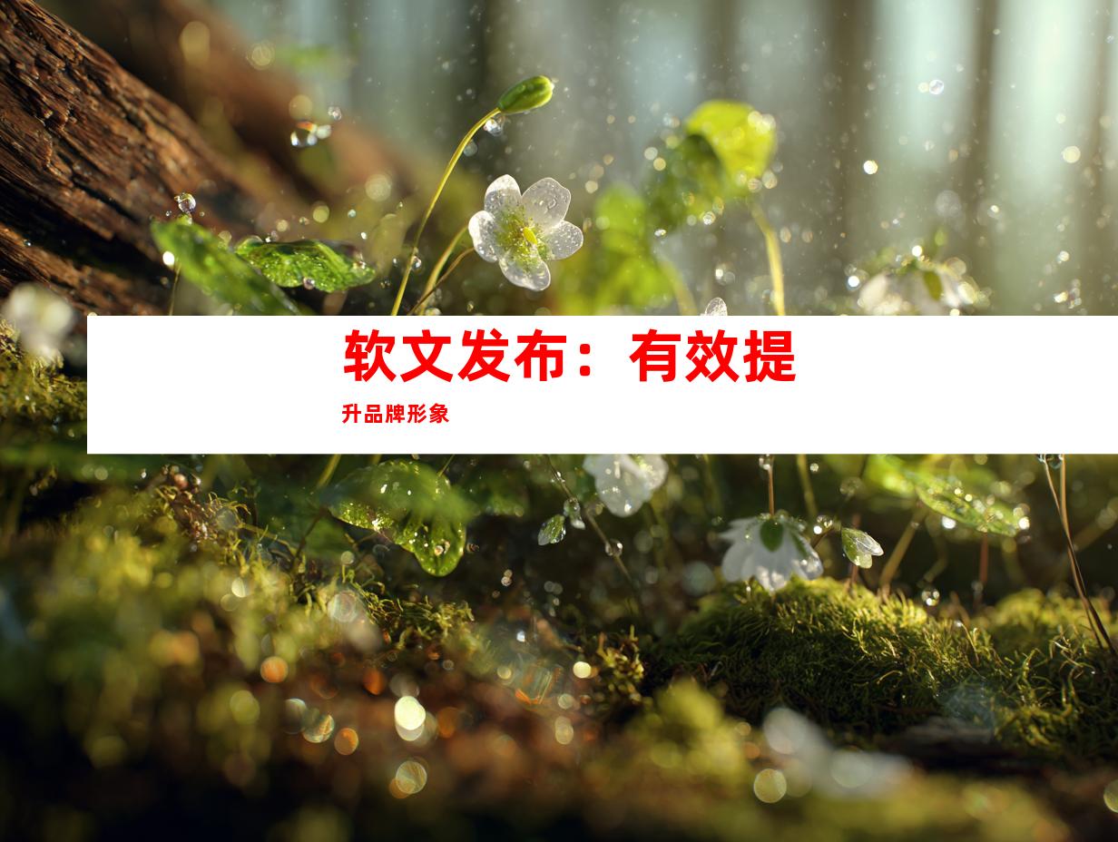 软文发布：有效提升品牌形象