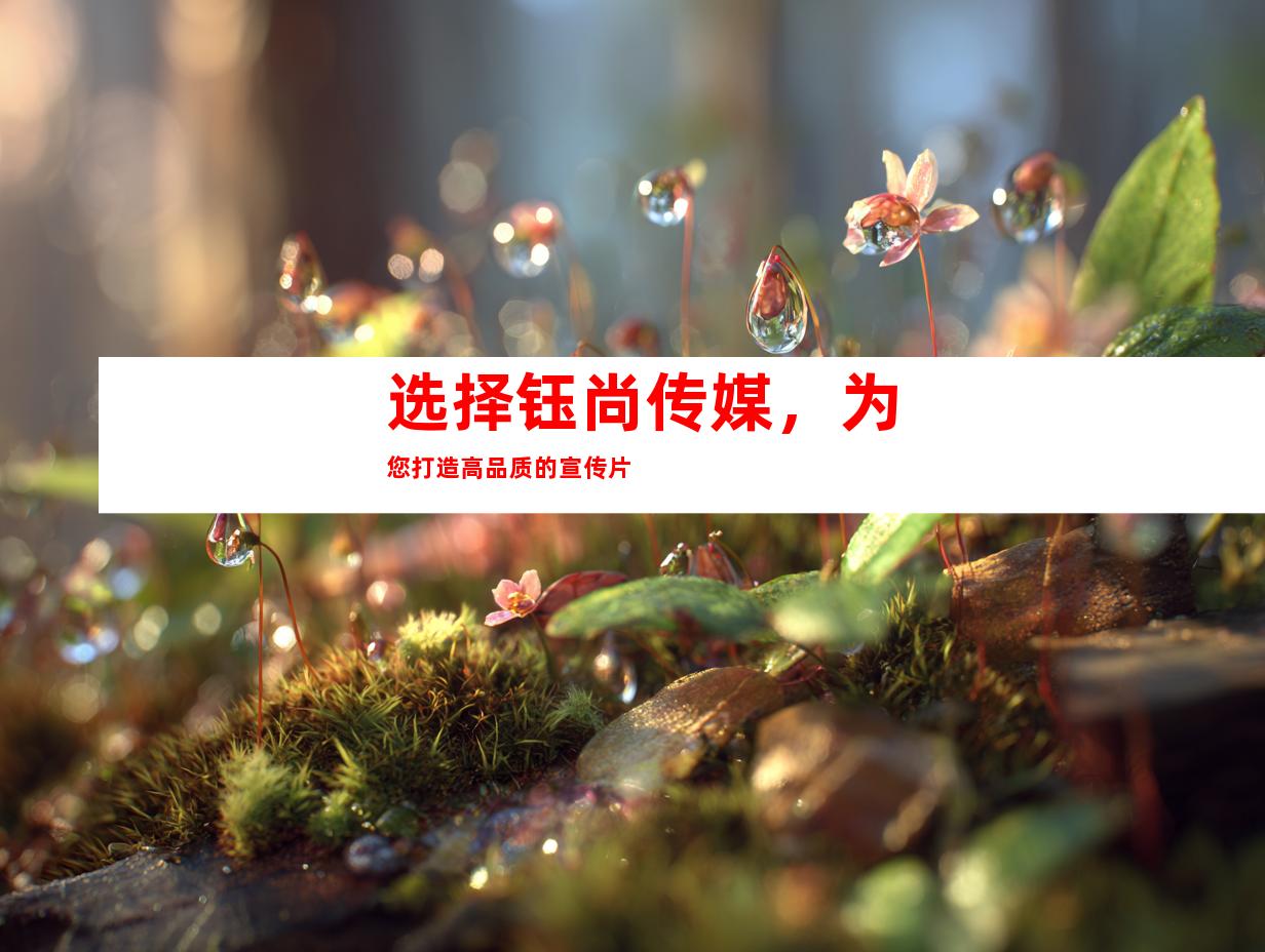 选择钰尚传媒，为您打造高品质的宣传片