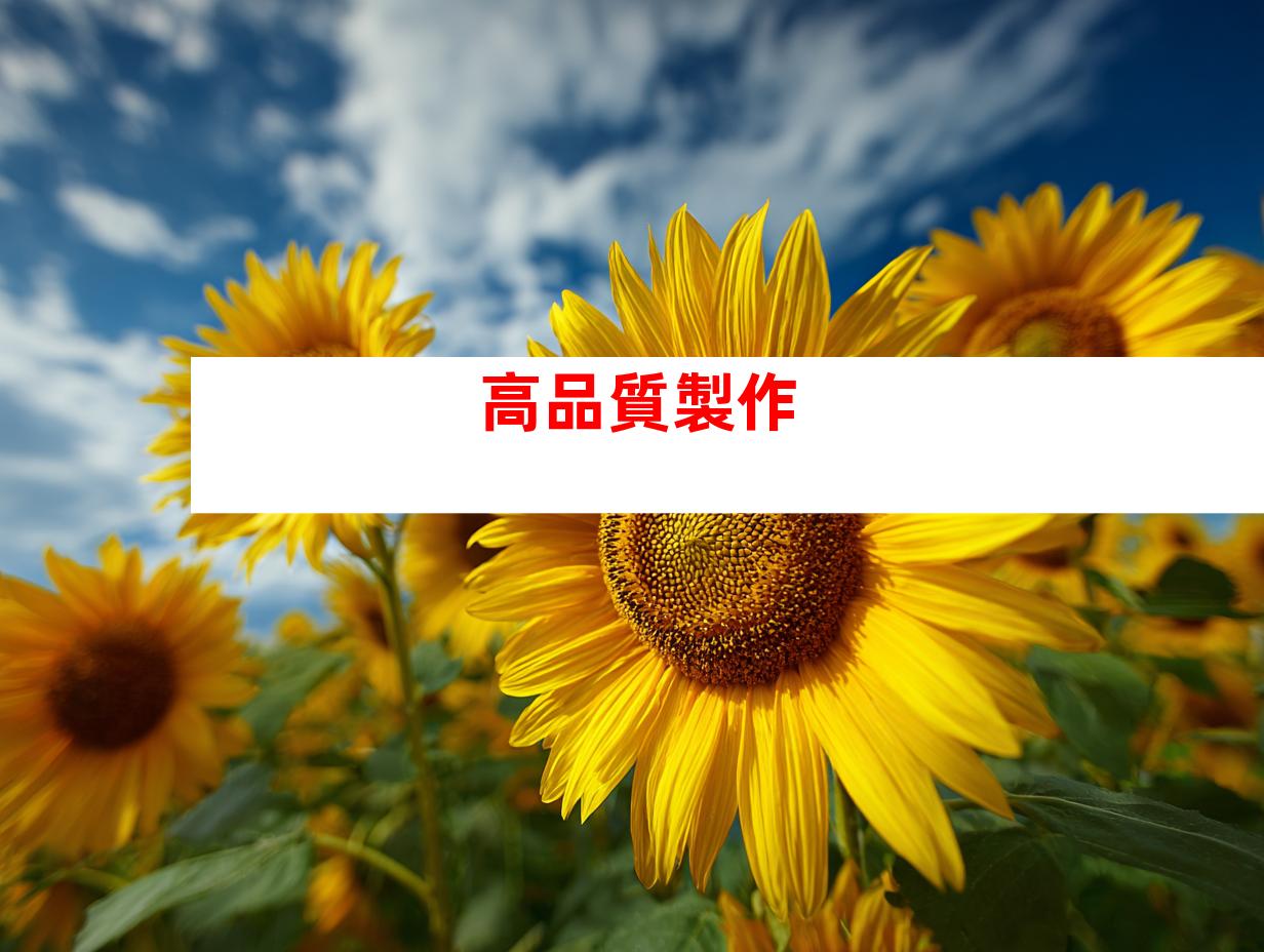 高品質製作