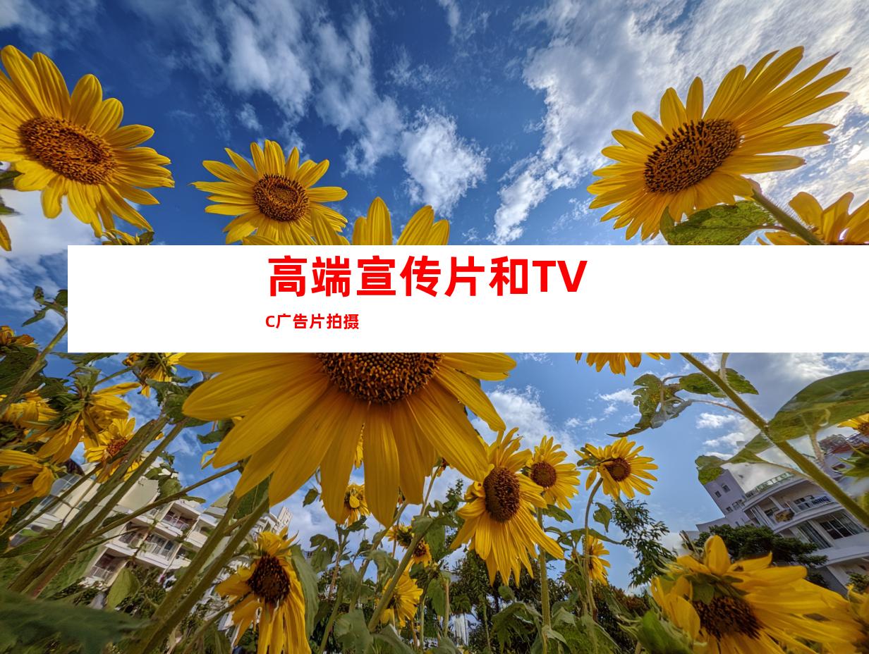 高端宣传片和TVC广告片拍摄