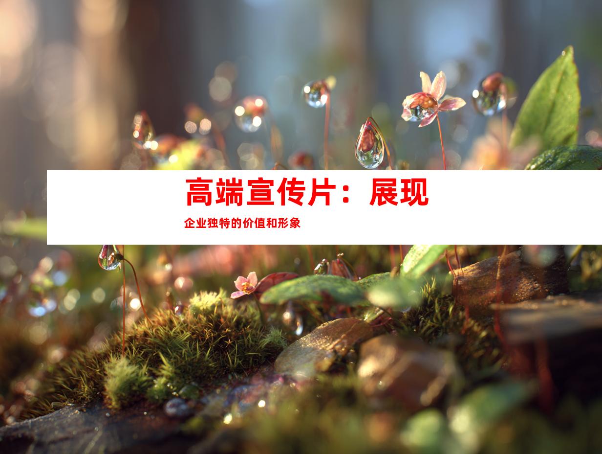 高端宣传片：展现企业独特的价值和形象