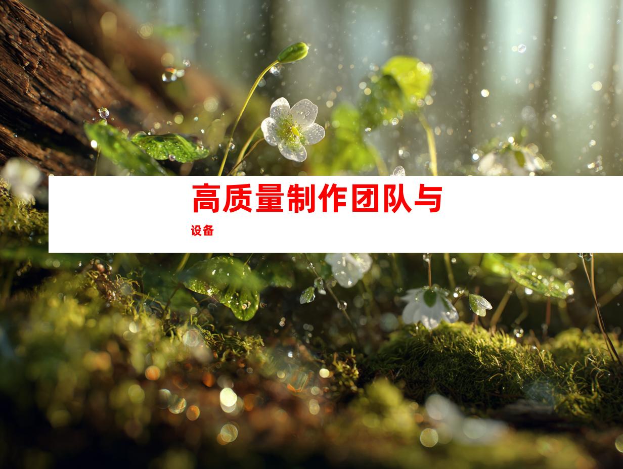高质量制作团队与设备
