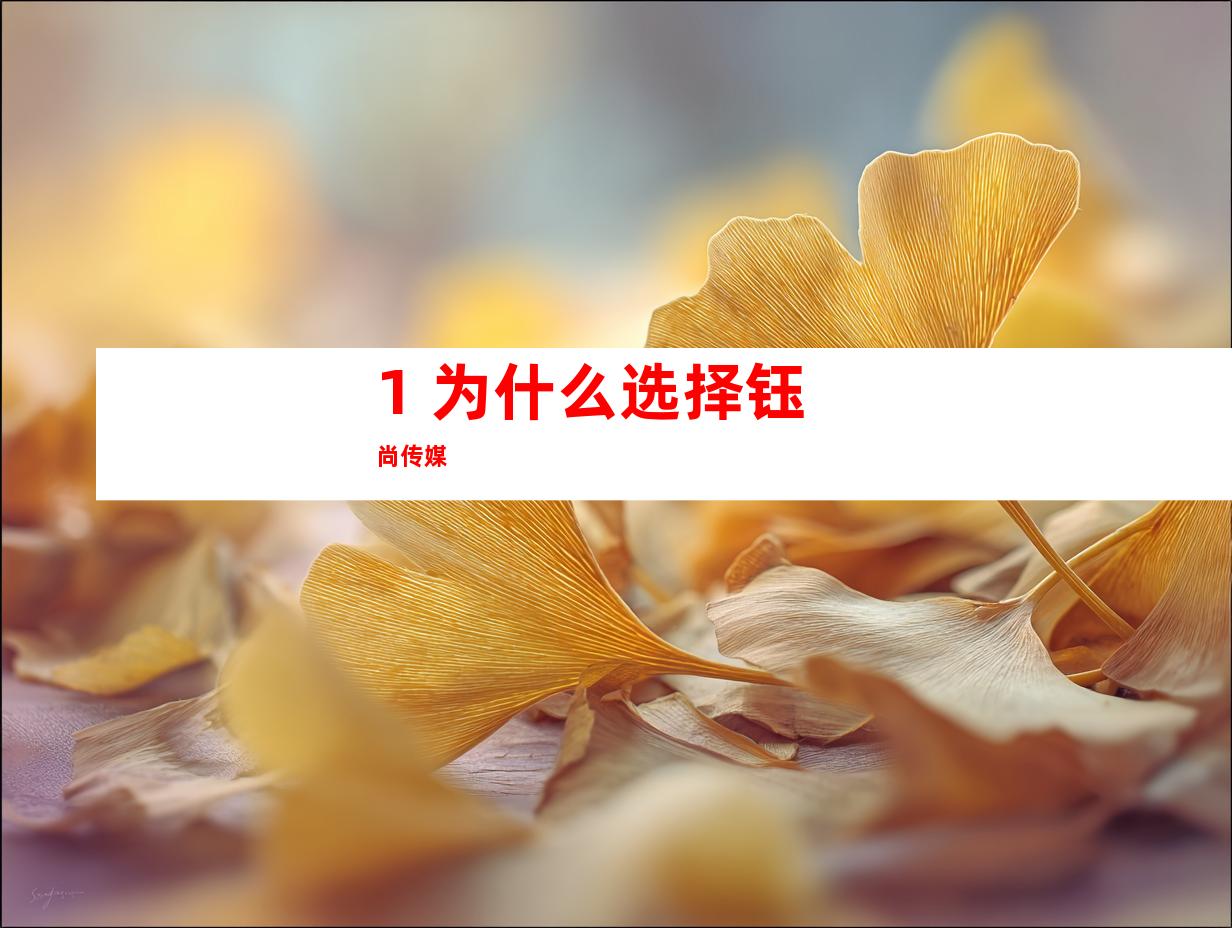 1. 为什么选择钰尚传媒