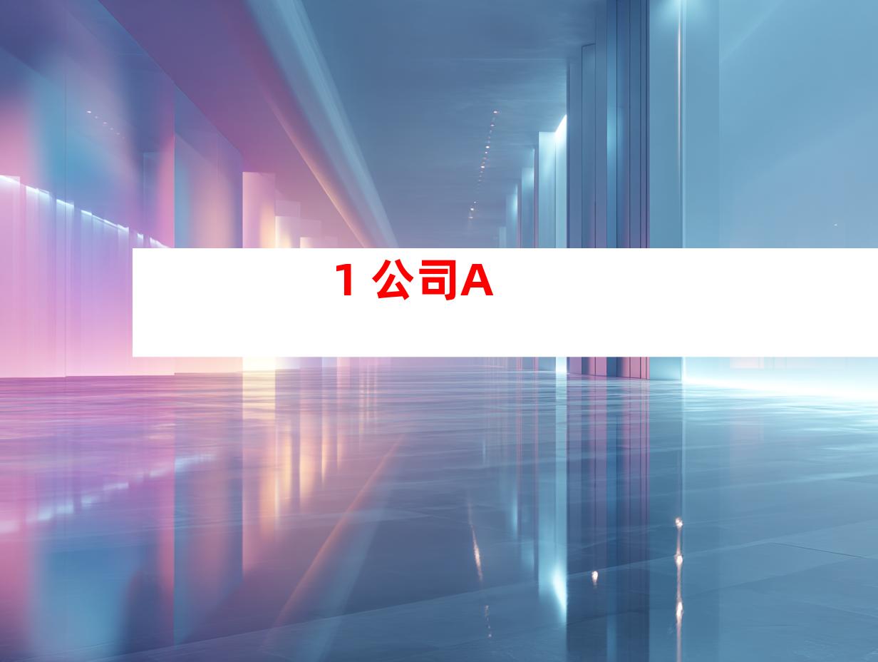 1. 公司A