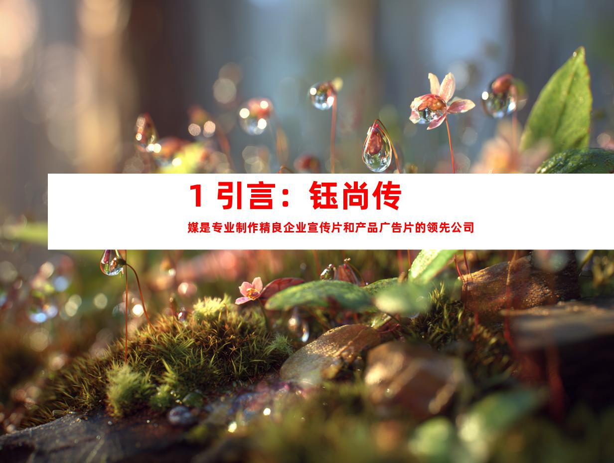 1. 引言：钰尚传媒是专业制作精良企业宣传片和产品广告片的领先公司