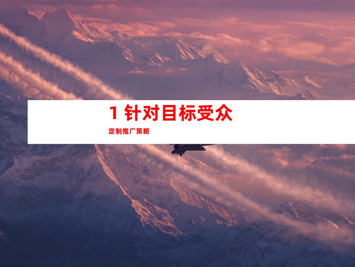 1. 针对目标受众定制推广策略
