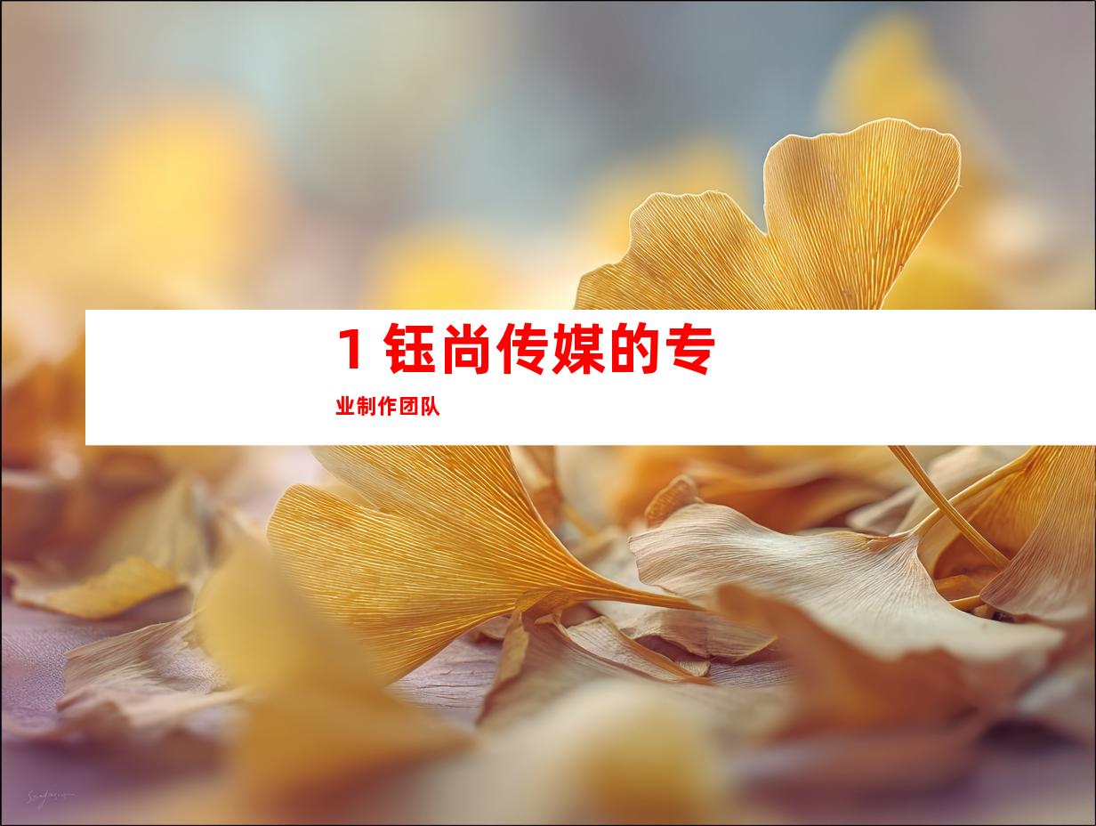 1. 钰尚传媒的专业制作团队