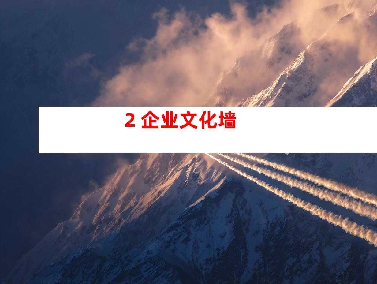 2. 企业文化墙