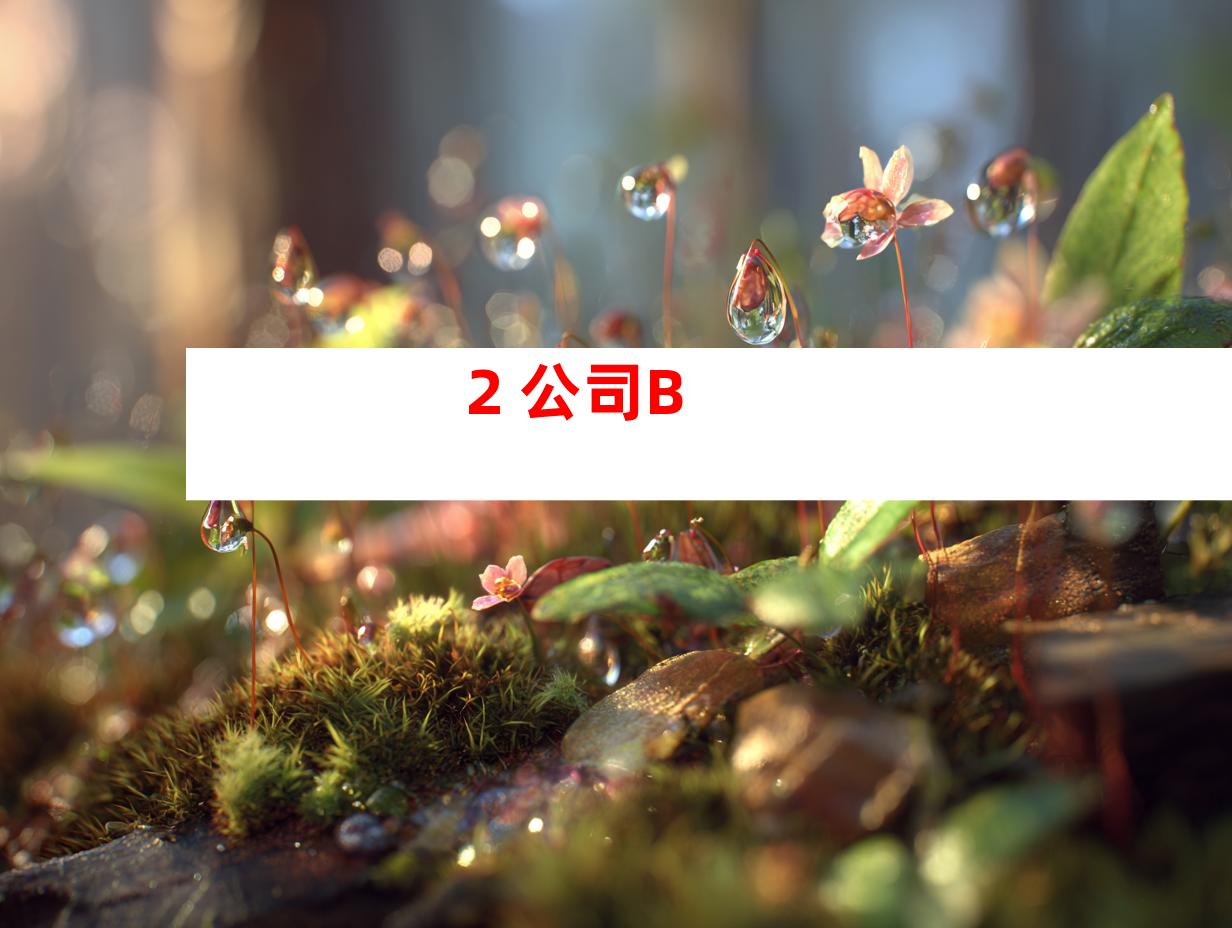 2. 公司B