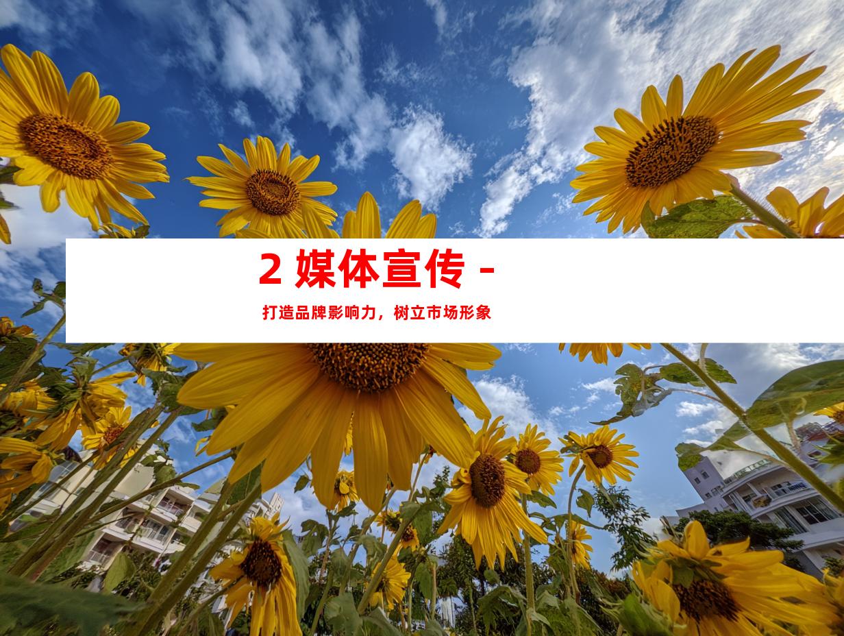 2. 媒体宣传 - 打造品牌影响力，树立市场形象