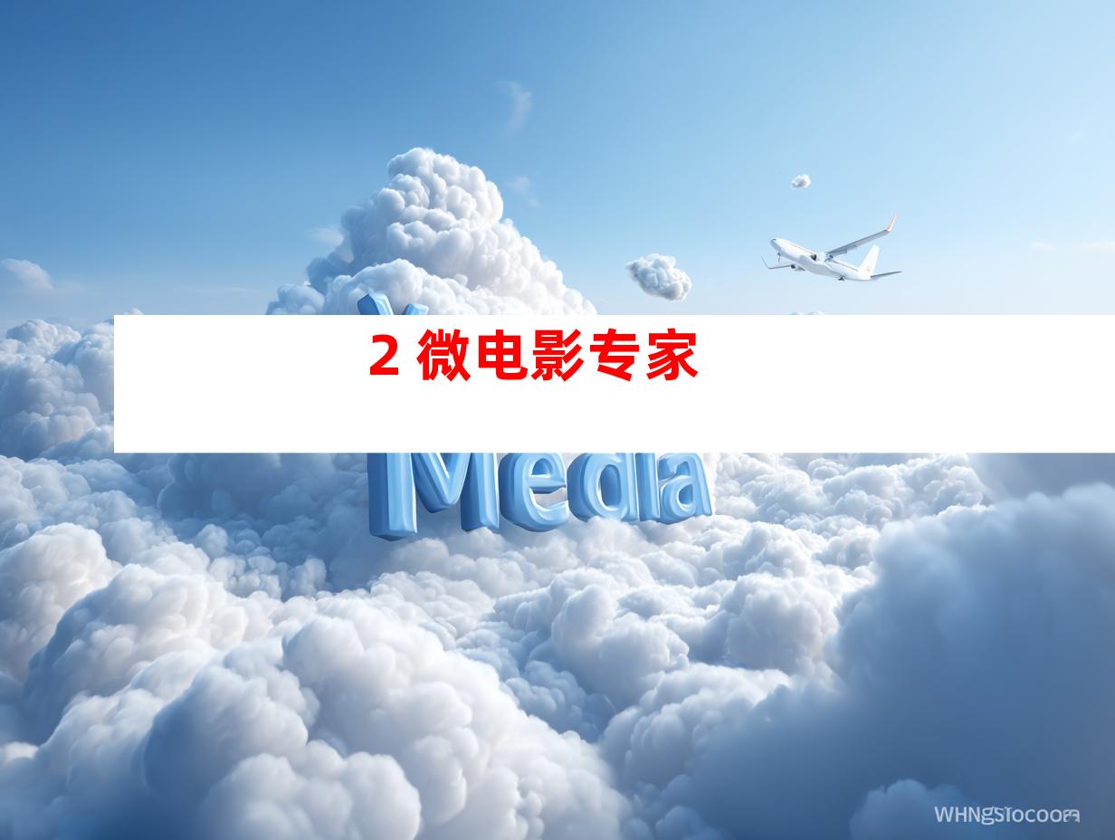 2. 微电影专家