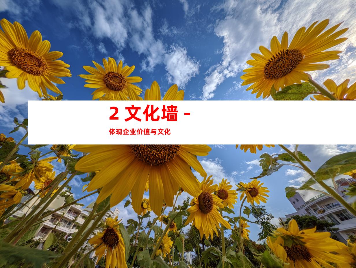 2. 文化墙 - 体现企业价值与文化