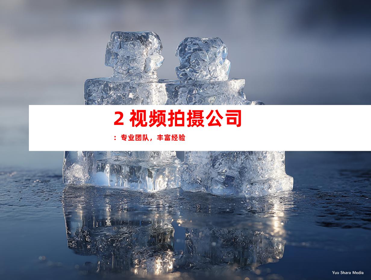 2. 视频拍摄公司：专业团队，丰富经验