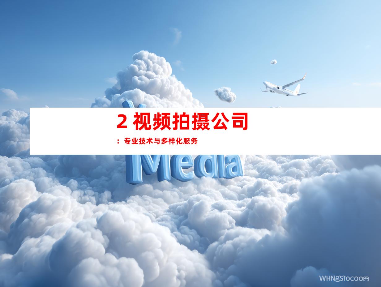 2. 视频拍摄公司：专业技术与多样化服务