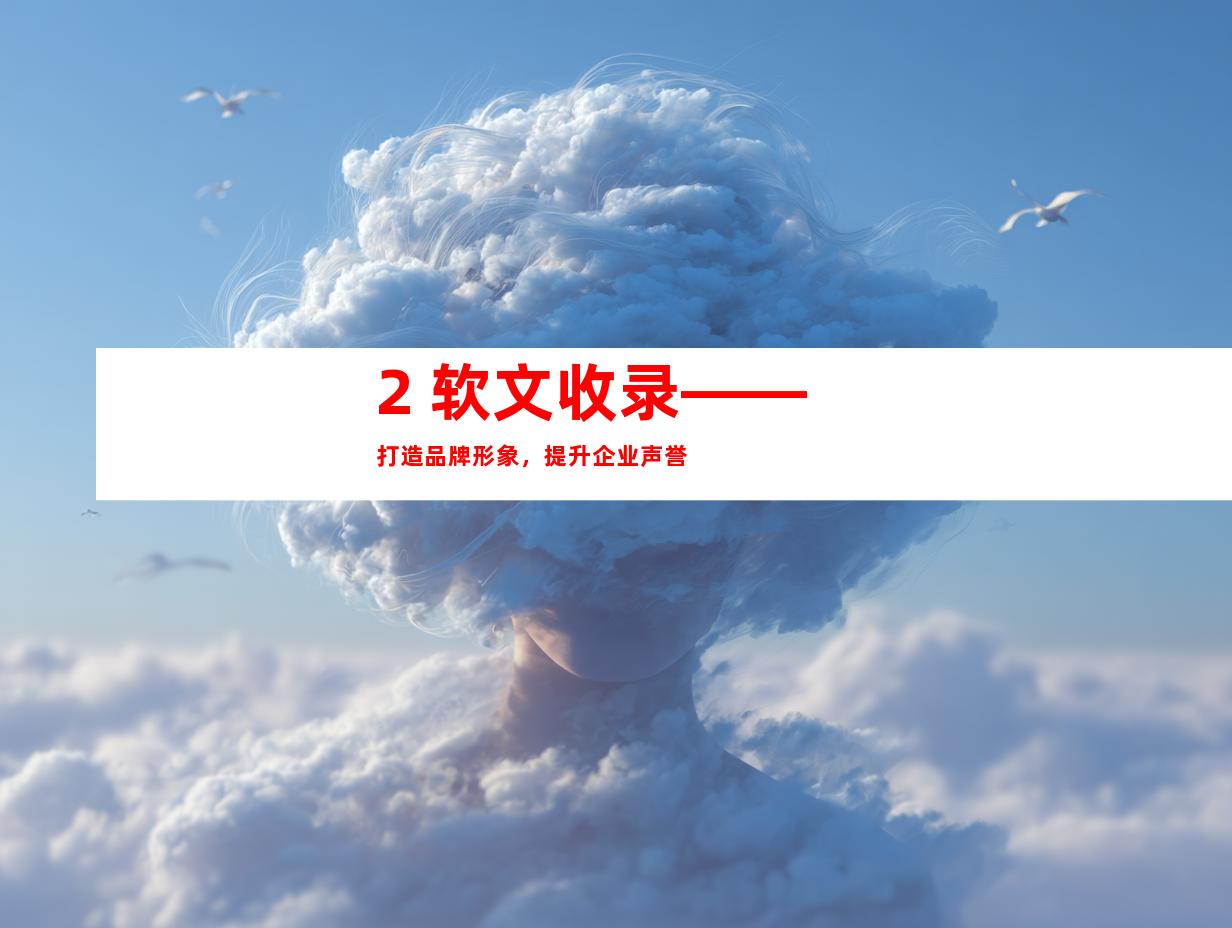 2. 软文收录——打造品牌形象，提升企业声誉