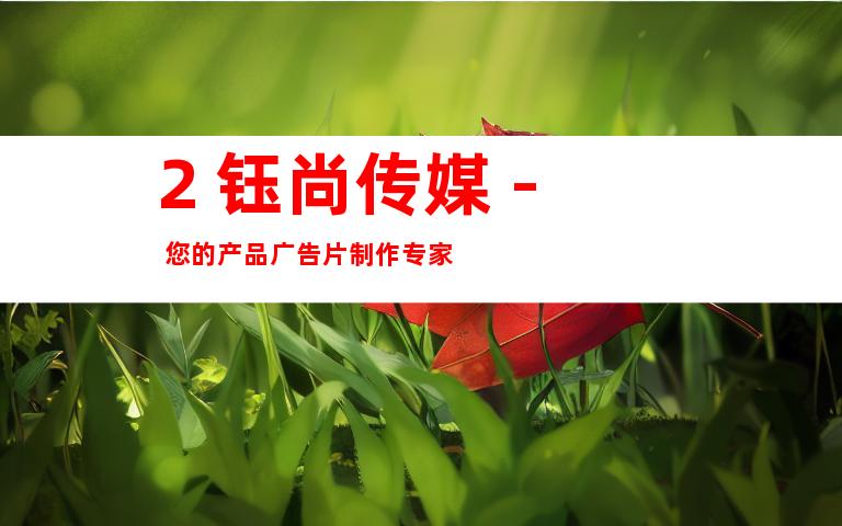 2. 钰尚传媒 - 您的产品广告片制作专家