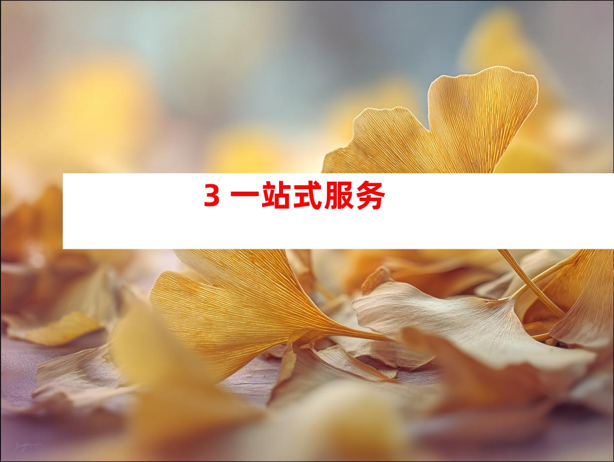 3. 一站式服务