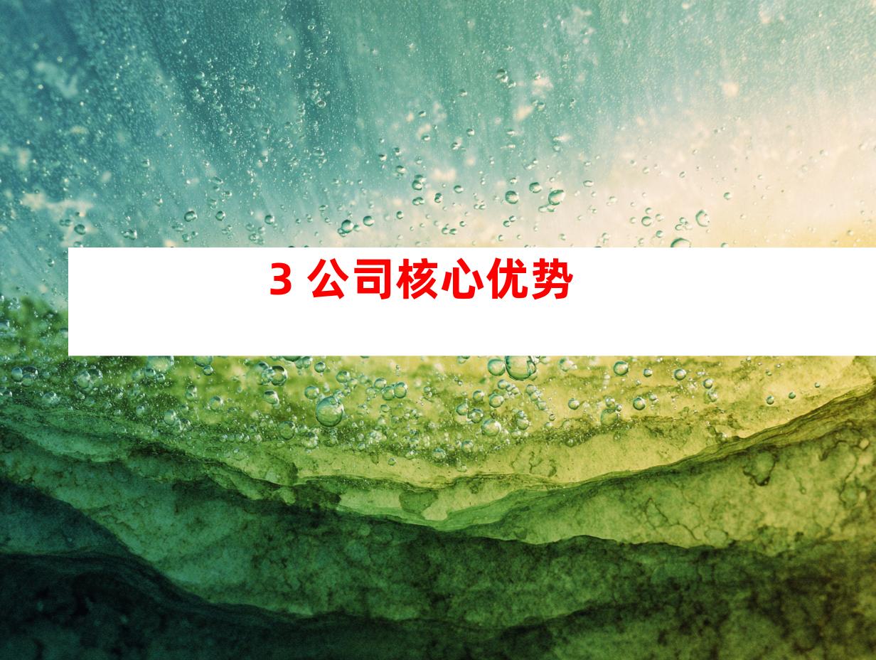 3. 公司核心优势