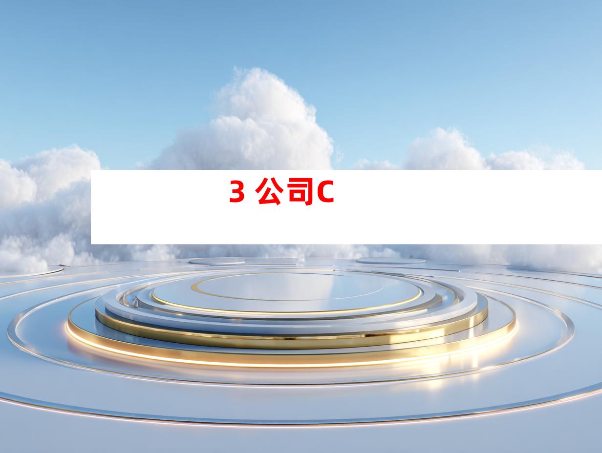 3. 公司C