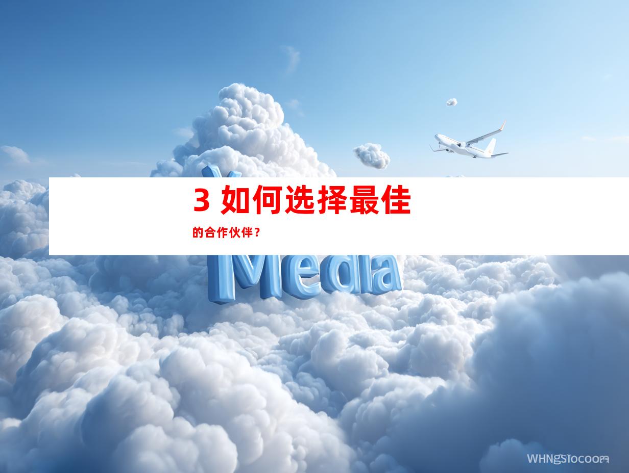 3. 如何选择最佳的合作伙伴？
