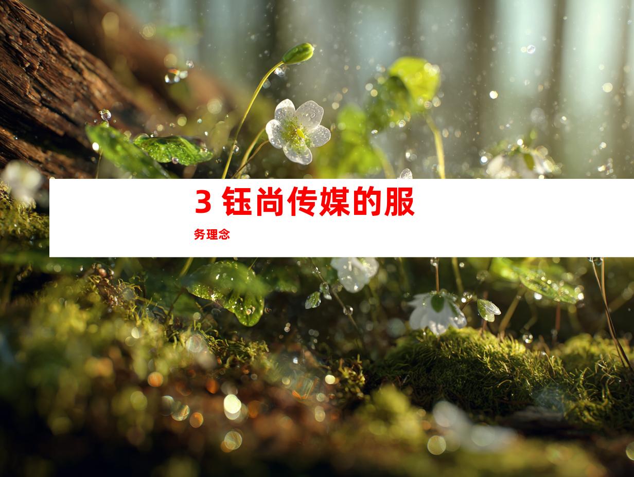 3. 钰尚传媒的服务理念