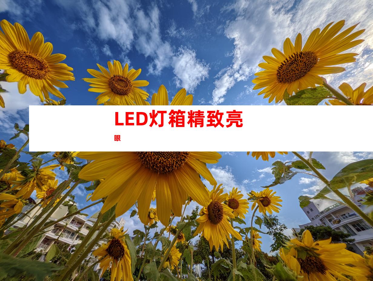 LED灯箱精致亮眼